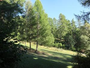 Appartements Appartement Les Orres, 2 pieces, 6 personnes - FR-1-322-233 : photos des chambres