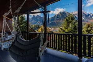 The Bear House 2 - 阿祖加