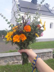 Медова садиба