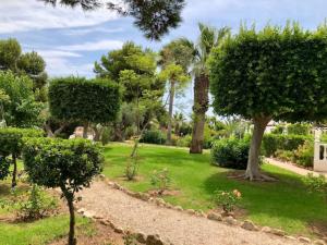 Santorini - Blue Dream Alacant - 1