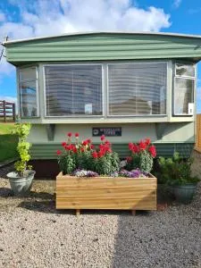 Rowanlea Caravan - 斯通黑文