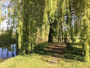 Maisons de vacances 