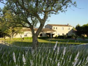 Hotels Le Phebus & Spa – Relais & Chateaux : photos des chambres