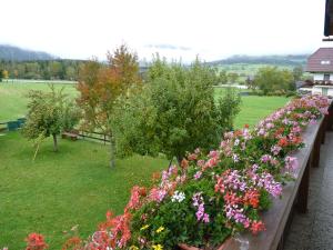 Haus Bauer Appartment I mit Balkon