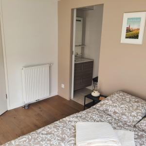 Jolie suite parentale, chambre et salle deau, avec son coin de verdure à 5 minutes à pied du centre ville