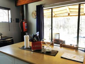 The Aces - NUDE - SunEden Family Naturist Resort