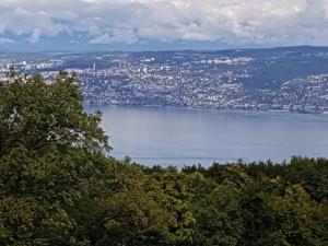 SUPERBE APPARTEMENT T2 3 ETOILES 40m2 PIED DES PISTES VUE SUR LE LAC