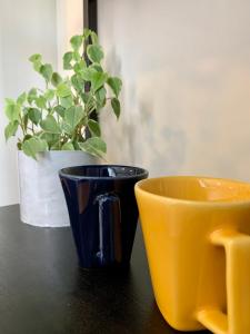 Flat Apart America Campos