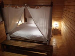 B&B / Chambres d'hotes Ecolodge Bellevue ALBI : photos des chambres