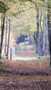 In Nature - Tushemlya