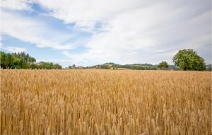 5 Bedroom Beautiful Home In Giove