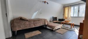 Entre Cardos y Nieves