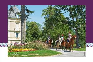 Hotels Hotel Mercure Rodez Cathedrale : photos des chambres