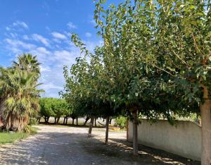 Maisons de vacances Mas Catalan : photos des chambres