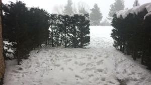 Le Jardin de Font Romeu