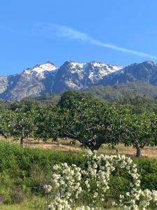 MIRADA A GREDOS