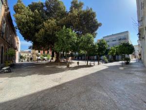 EL RINCON DE ELENA (CASCO HISTORICO)