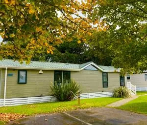 Jungle lodge - 米尔福德昂西