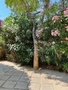 T2 à proximité de la mer avec parking