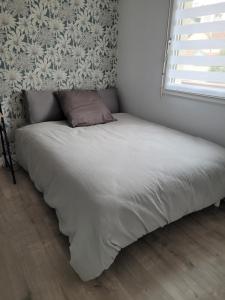 Appartement rénové près république