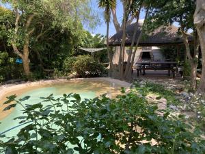 Paradise in Kommetjie