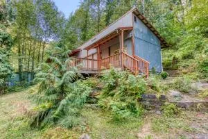 Enchanted Forest - Sandy