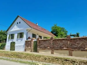 Tulipános Palkonya - Villánykövesd