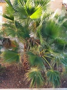 Fayence Villa with private pool