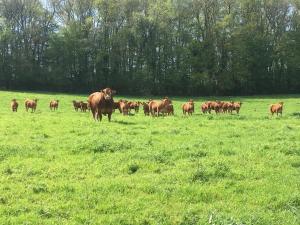 La Roulotte du Moulin de Rebets