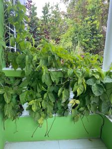 June’s comfort paradise