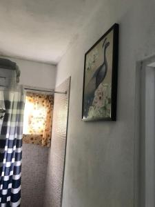 June’s comfort paradise