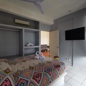 1 BR APT with AC , TV , wi-fi near DT and beach