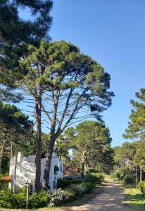 Complejo La Toja, Pinamar, La mejor ubicación !