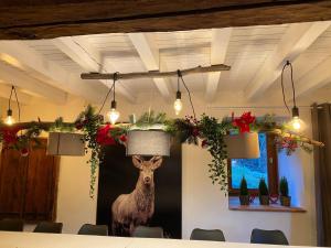 Appartements Le Cerf de la Lune : Chalet 3 Chambres