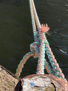 Appartements Chez Jeannette, appartement entre centre et plages : photos des chambres