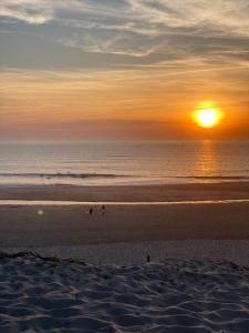 Appartements Apt Les Grands Pins, entre Foret, Lac et Ocean : Appartement 1 Chambre