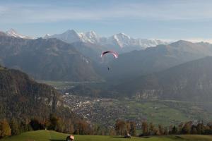 Wengen Lauberhorn - Flat available
