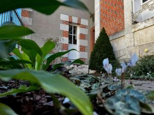 B&B / Chambres d'hotes Maison Loire : photos des chambres