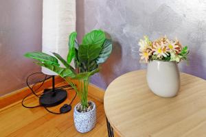 Apartment Paradise Symphony