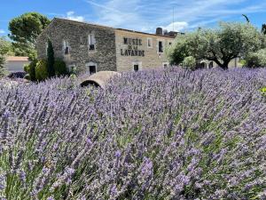 Maisons de vacances Le Dourmidou - Gite avec piscine, au pied du Luberon : photos des chambres