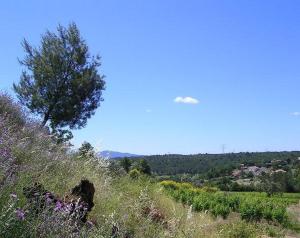 Gîte au calme, escale au Centre Var