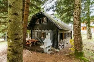 Chalet Liza & Rozi - Tinjska Gora