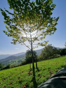 Maisons de vacances Maison de vacances vue exceptionnelle sur les montagnes basque : photos des chambres