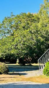 Appartements Superbe logement au coeur de la nature : photos des chambres