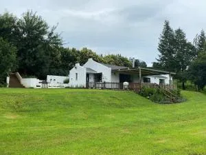 Caversham Woods - Lidgetton