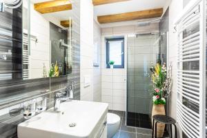 Ski Chalet Klínovec