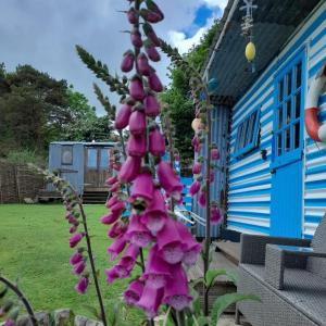 Treguth Glamping Unique Experience - Themed Huts