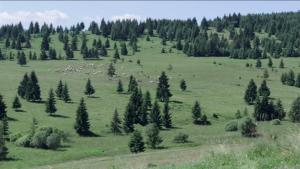 Veronika Vendégház