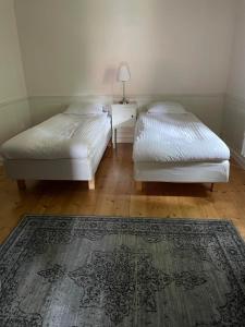 Twin Room with Shared Bathroom room in Hallagårdens B&B