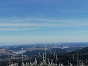 Ferienhaus Plöckenstein